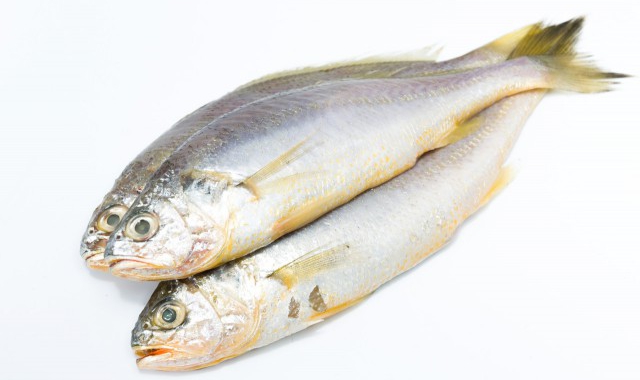 清蒸鱼腩热量高吗，减肥怎么吃鱼